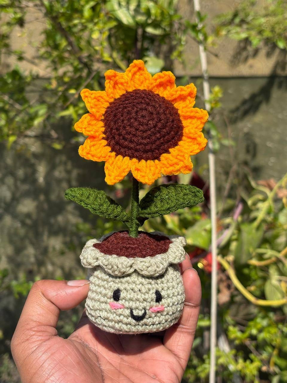 DESK POTS